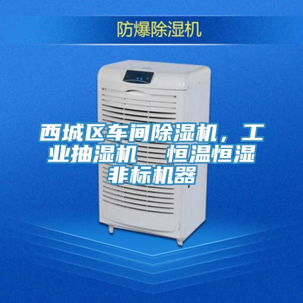 西城區(qū)車間除濕機(jī)，工業(yè)抽濕機(jī)  恒溫恒濕非標(biāo)機(jī)器