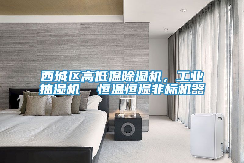 西城區(qū)高低溫除濕機(jī)，工業(yè)抽濕機(jī)  恒溫恒濕非標(biāo)機(jī)器