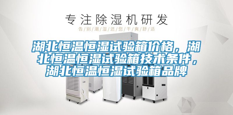 湖北恒溫恒濕試驗(yàn)箱價(jià)格，湖北恒溫恒濕試驗(yàn)箱技術(shù)條件，湖北恒溫恒濕試驗(yàn)箱品牌