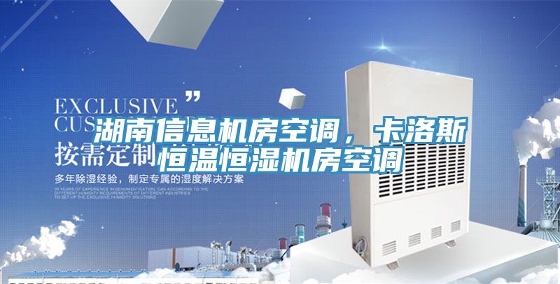 湖南信息機(jī)房空調(diào)，卡洛斯恒溫恒濕機(jī)房空調(diào)