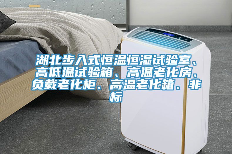 湖北步入式恒溫恒濕試驗(yàn)室、高低溫試驗(yàn)箱、高溫老化房、負(fù)載老化柜、高溫老化箱、非標(biāo)