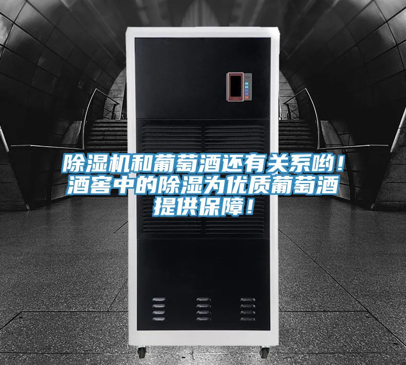除濕機(jī)和葡萄酒還有關(guān)系喲！酒窖中的除濕為優(yōu)質(zhì)葡萄酒提供保障！