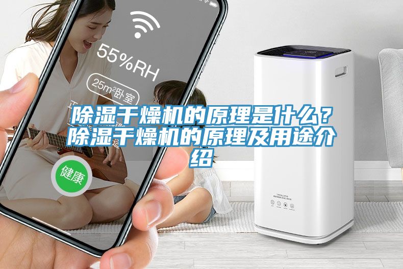 除濕干燥機(jī)的原理是什么？除濕干燥機(jī)的原理及用途介紹