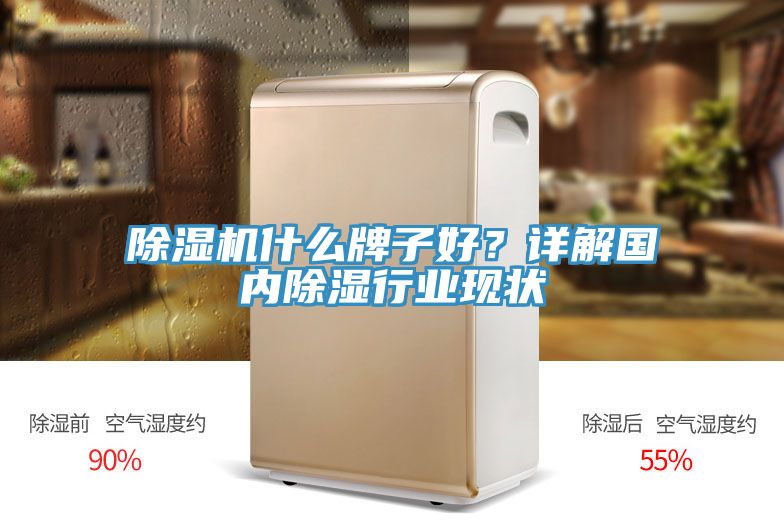 除濕機(jī)什么牌子好？詳解國(guó)內(nèi)除濕行業(yè)現(xiàn)狀