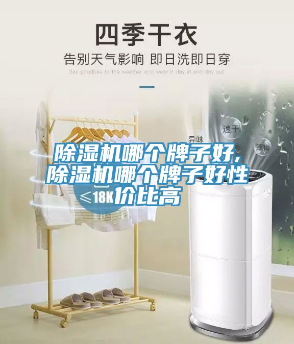 除濕機(jī)哪個牌子好,除濕機(jī)哪個牌子好性價(jià)比高