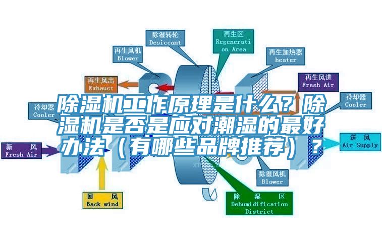 除濕機工作原理是什么？除濕機是否是應(yīng)對潮濕的最好辦法（有哪些品牌推薦）？