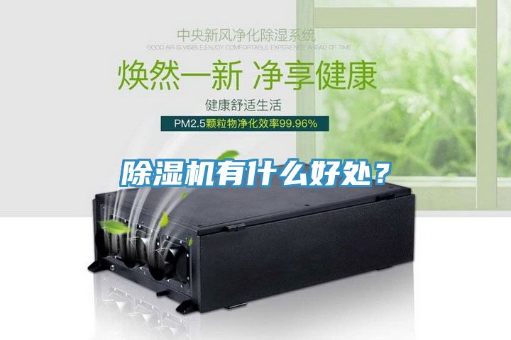 除濕機有什么好處？