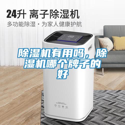 除濕機(jī)有用嗎，除濕機(jī)哪個(gè)牌子的好