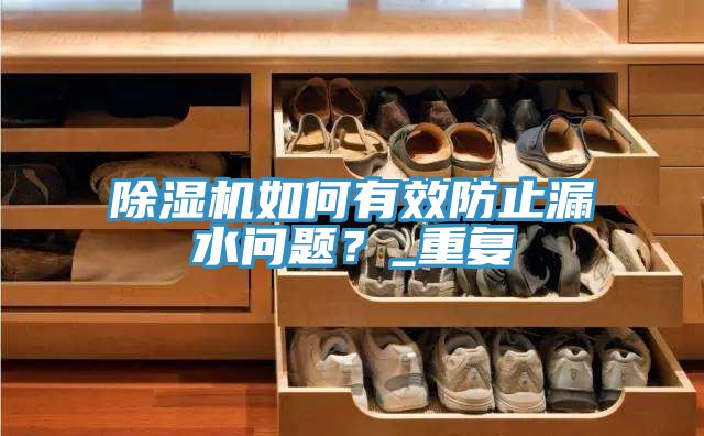 除濕機(jī)如何有效防止漏水問題？_重復(fù)