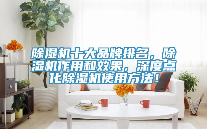 除濕機(jī)十大品牌排名，除濕機(jī)作用和效果，深度點(diǎn)化除濕機(jī)使用方法！