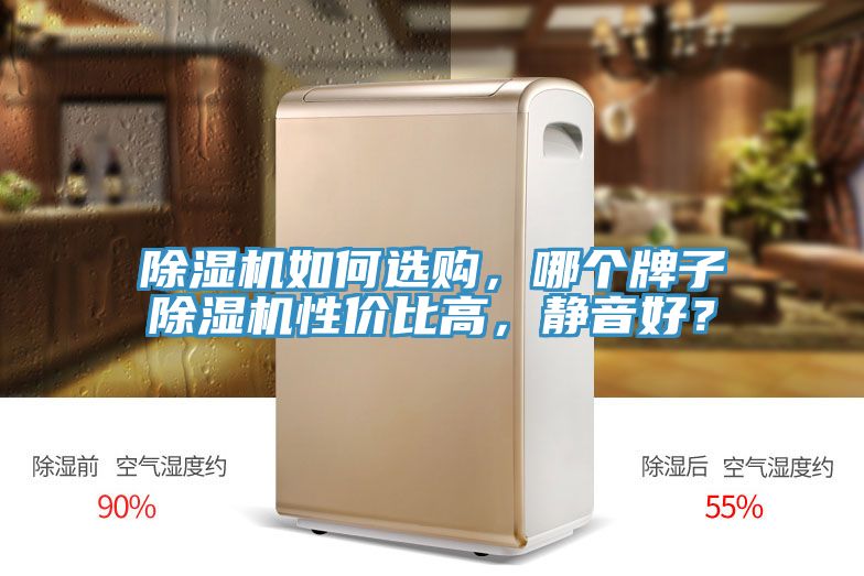 除濕機如何選購，哪個牌子除濕機性價比高，靜音好？