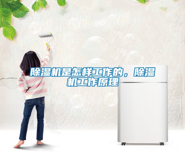 除濕機(jī)是怎樣工作的，除濕機(jī)工作原理