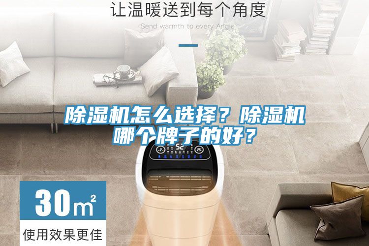 除濕機(jī)怎么選擇？除濕機(jī)哪個牌子的好？