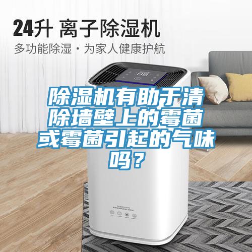 除濕機(jī)有助于清除墻壁上的霉菌或霉菌引起的氣味嗎？