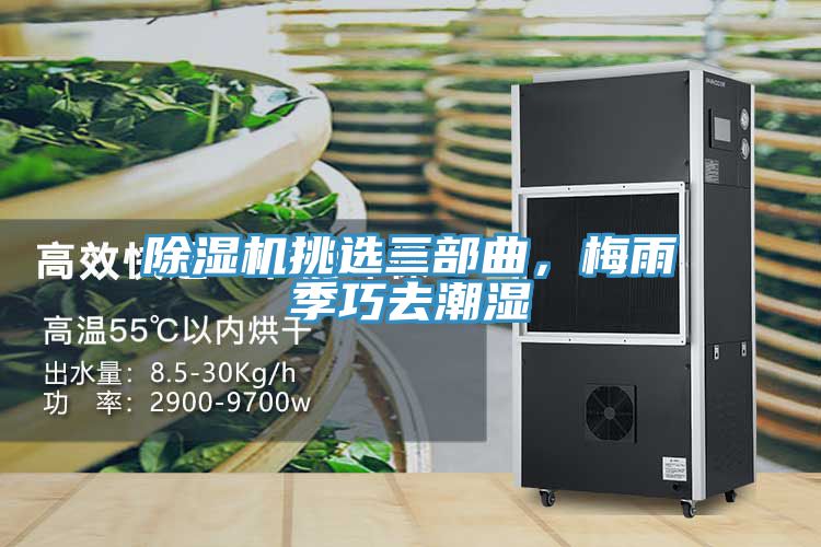 除濕機(jī)挑選三部曲，梅雨季巧去潮濕