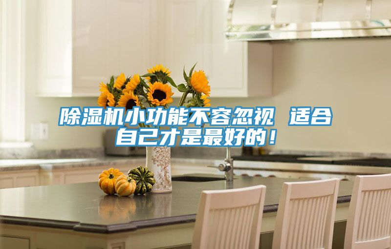 除濕機(jī)小功能不容忽視 適合自己才是最好的！