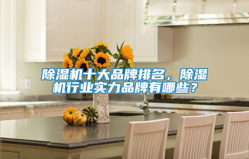 除濕機(jī)十大品牌排名，除濕機(jī)行業(yè)實(shí)力品牌有哪些？