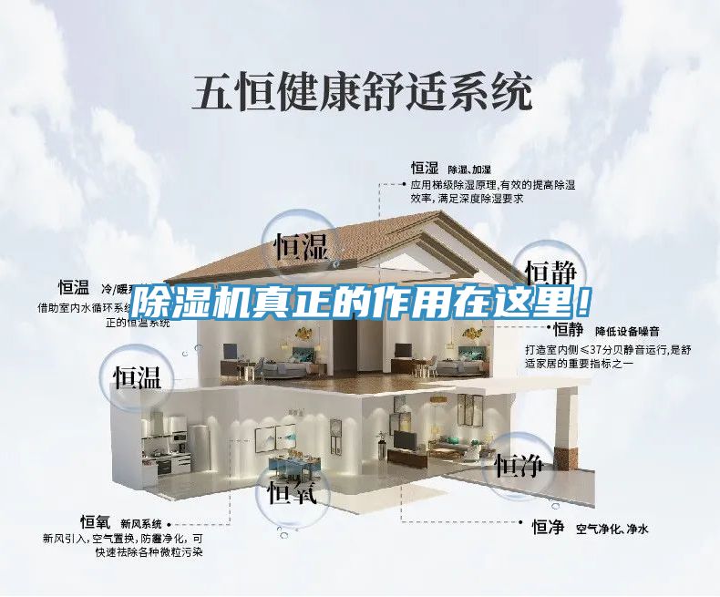除濕機(jī)真正的作用在這里！