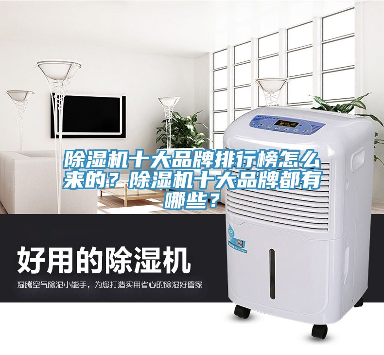 除濕機(jī)十大品牌排行榜怎么來的？除濕機(jī)十大品牌都有哪些？
