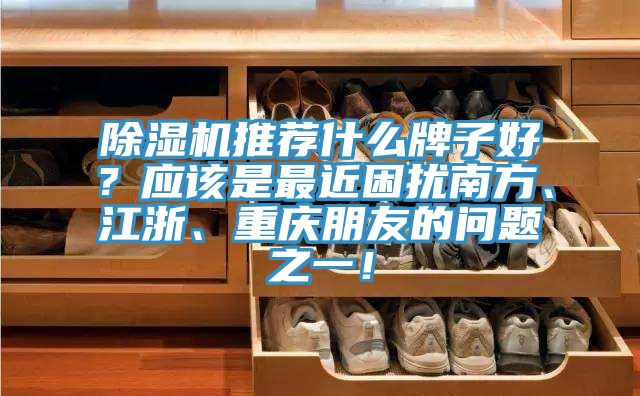 除濕機(jī)推薦什么牌子好？應(yīng)該是最近困擾南方、江浙、重慶朋友的問(wèn)題之一！