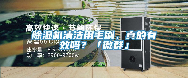 除濕機清潔用毛刷，真的有效嗎？「傲群」