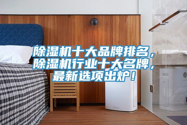 除濕機(jī)十大品牌排名，除濕機(jī)行業(yè)十大名牌，最新選項(xiàng)出爐！