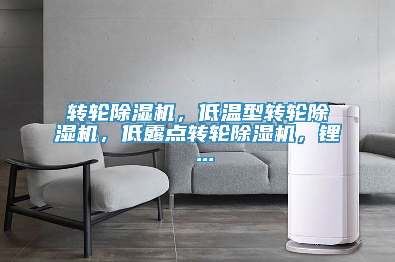 轉(zhuǎn)輪除濕機，低溫型轉(zhuǎn)輪除濕機，低露點轉(zhuǎn)輪除濕機，鋰 ...