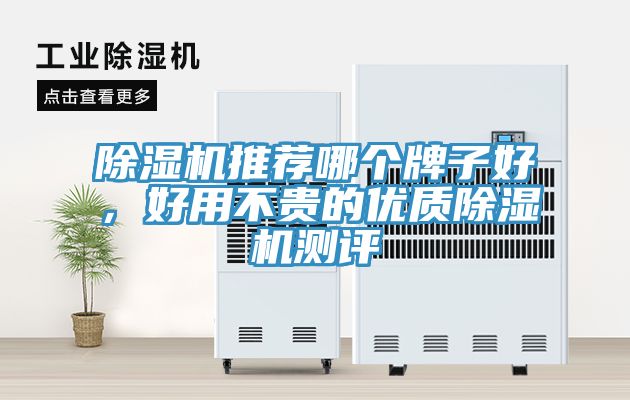 除濕機(jī)推薦哪個(gè)牌子好，好用不貴的優(yōu)質(zhì)除濕機(jī)測(cè)評(píng)