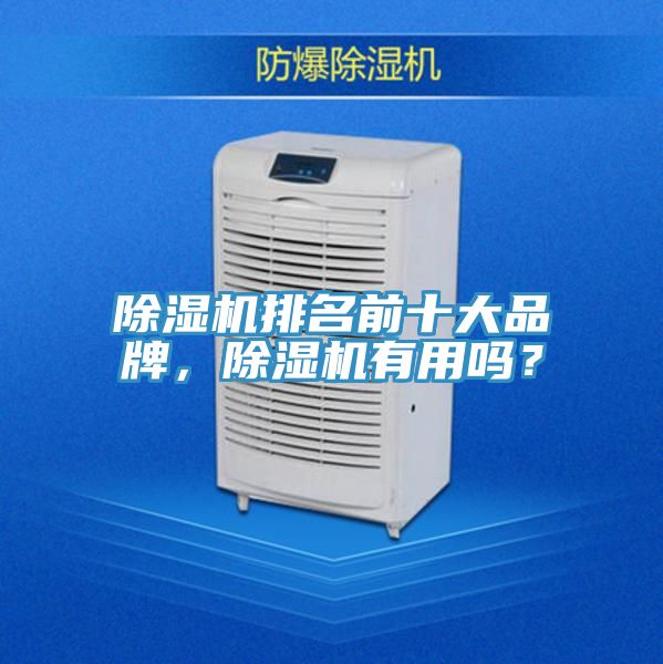 除濕機排名前十大品牌，除濕機有用嗎？