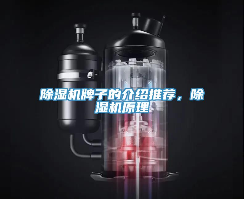 除濕機(jī)牌子的介紹推薦，除濕機(jī)原理
