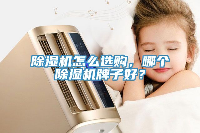 除濕機(jī)怎么選購，哪個(gè)除濕機(jī)牌子好？