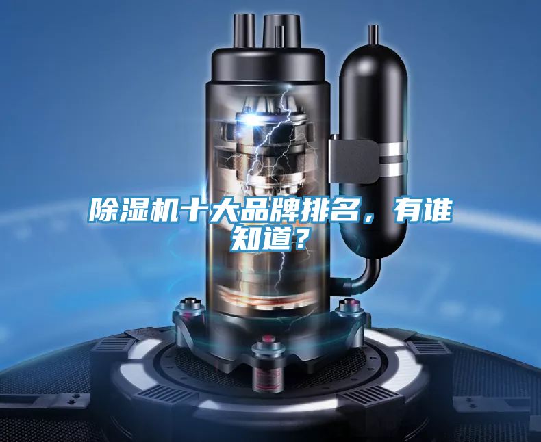 除濕機(jī)十大品牌排名，有誰知道？