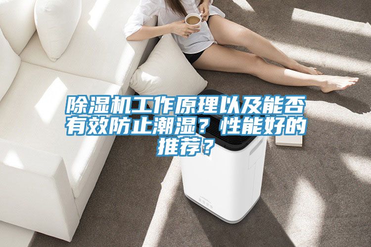 除濕機(jī)工作原理以及能否有效防止潮濕？性能好的推薦？