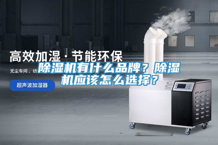 除濕機(jī)有什么品牌？除濕機(jī)應(yīng)該怎么選擇？