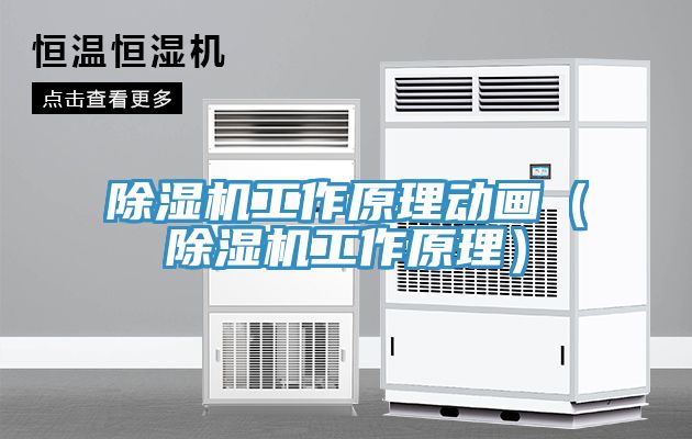 除濕機(jī)工作原理動(dòng)畫（除濕機(jī)工作原理）