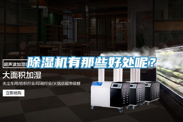 除濕機(jī)有那些好處呢？
