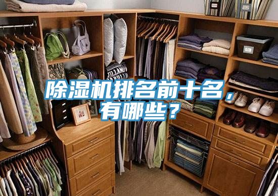 除濕機(jī)排名前十名，有哪些？