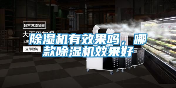 除濕機有效果嗎，哪款除濕機效果好