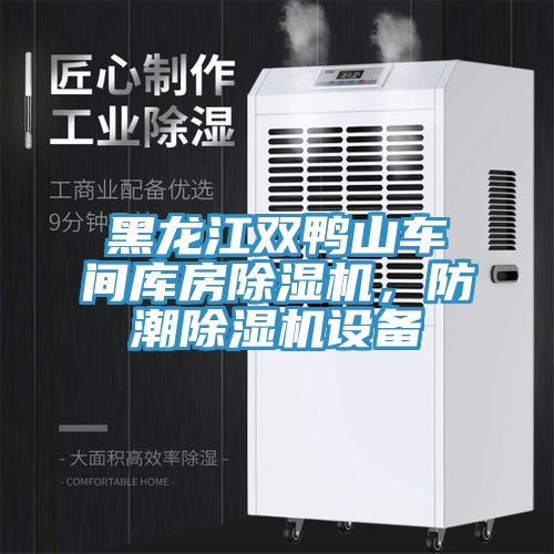 黑龍江雙鴨山車間庫(kù)房除濕機(jī)，防潮除濕機(jī)設(shè)備