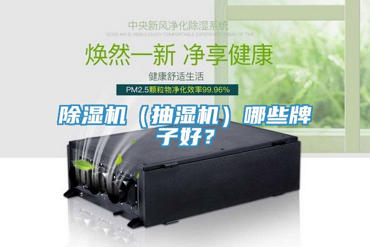 除濕機（抽濕機）哪些牌子好？