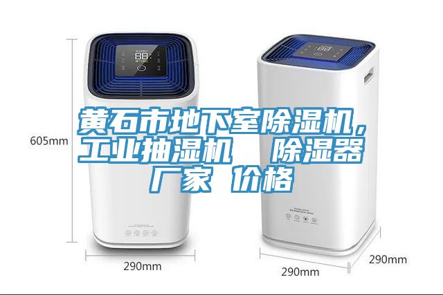 黃石市地下室除濕機(jī)，工業(yè)抽濕機(jī)  除濕器廠家 價(jià)格
