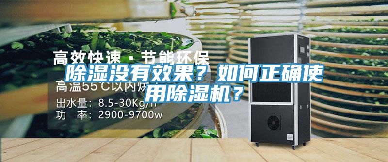 除濕沒有效果？如何正確使用除濕機？