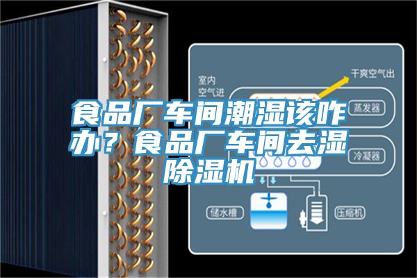食品廠車間潮濕該咋辦？食品廠車間去濕除濕機(jī)