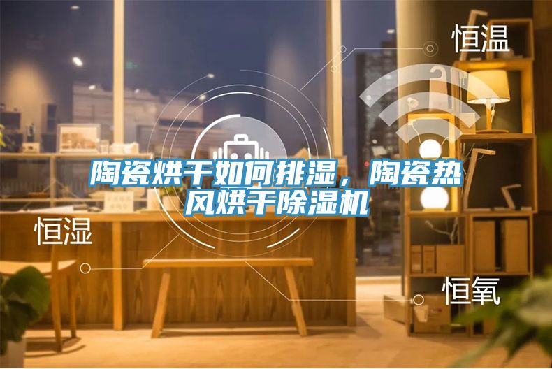 陶瓷烘干如何排濕，陶瓷熱風(fēng)烘干除濕機(jī)