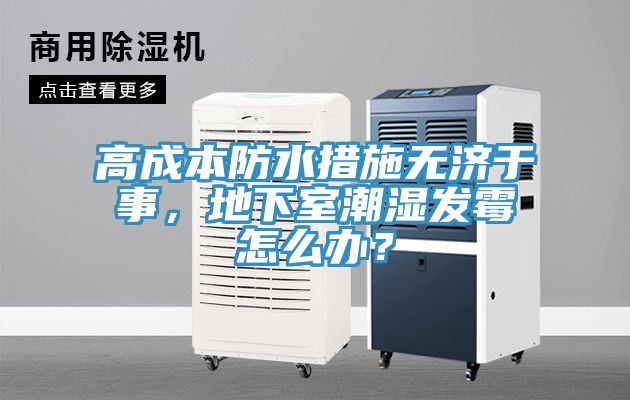 高成本防水措施無濟于事，地下室潮濕發(fā)霉怎么辦？