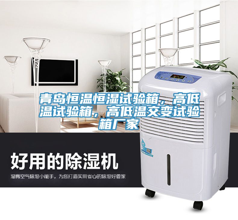 青島恒溫恒濕試驗箱，高低溫試驗箱，高低溫交變試驗箱廠家