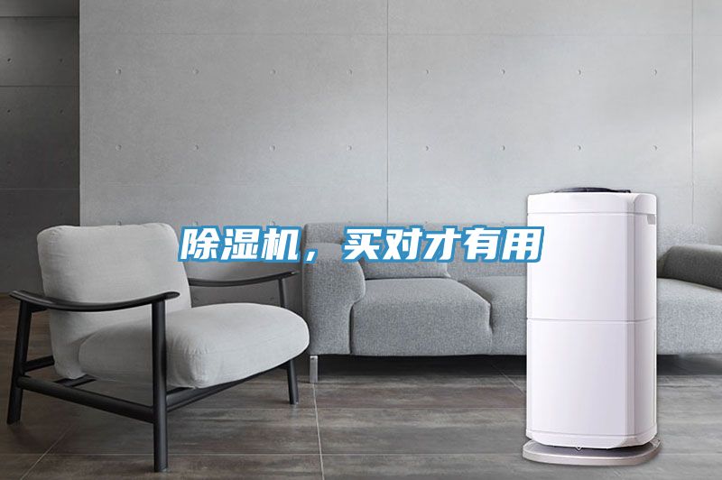 除濕機，買對才有用