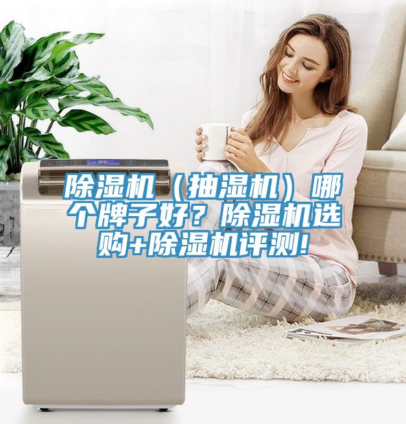 除濕機(jī)（抽濕機(jī)）哪個(gè)牌子好？除濕機(jī)選購+除濕機(jī)評測!