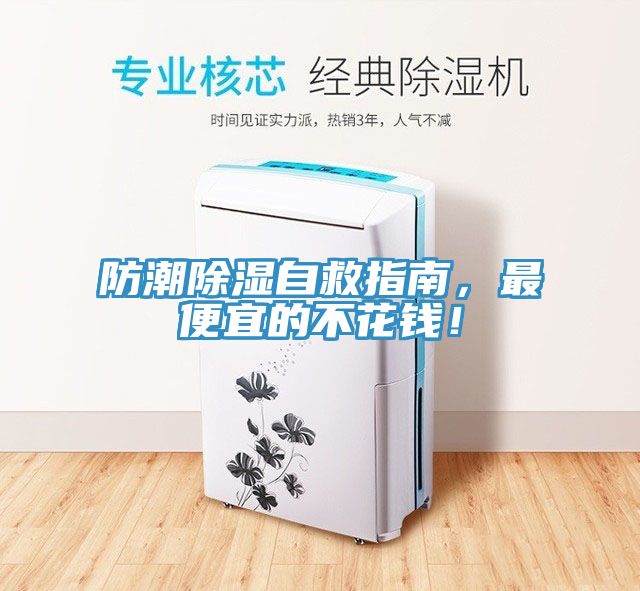 防潮除濕自救指南，最便宜的不花錢！