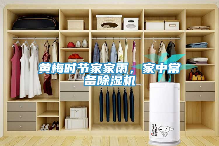 黃梅時節(jié)家家雨，家中常備除濕機